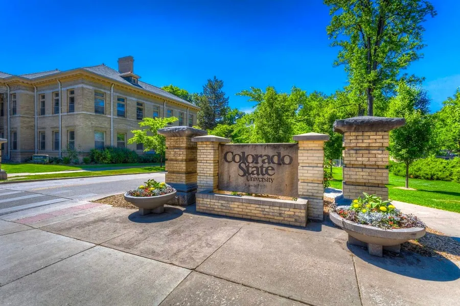 جامعات أمريكية بمعدلات قبول عالية