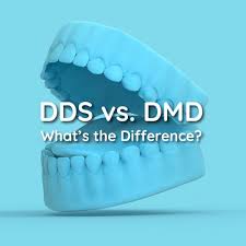 دراسة طب الأسنان في أمريكا